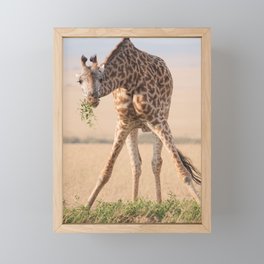 Safari Framed Mini Art Print