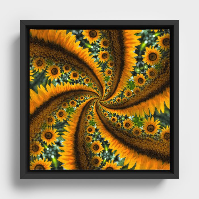 Spiral SunFlower Framed Canvas