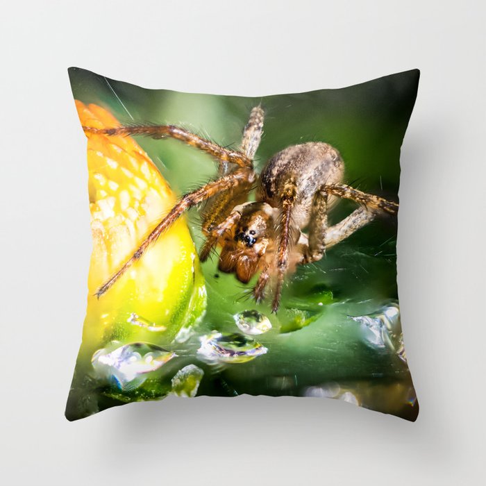 Spider In The Dewy Flowers Throw Pillow