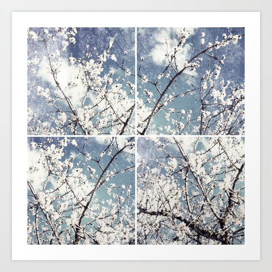 almond mediterranean tree flowers collage Art Print