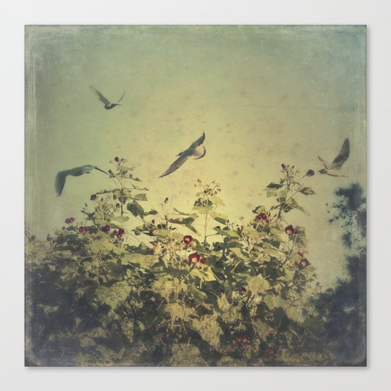 Freedom Canvas Print