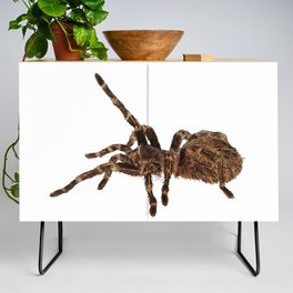 The Spider's Touch Credenza