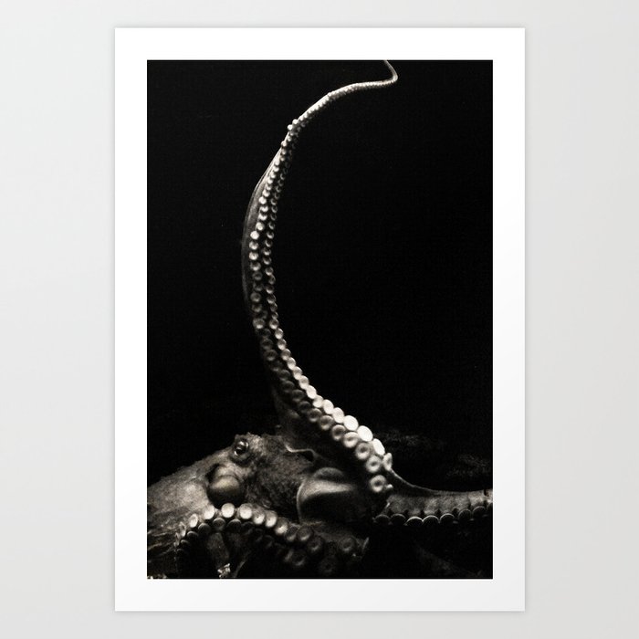 The Kraken's Whip Art Print by Bella Blue Photography | Society6