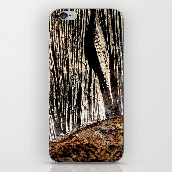 tree bark and wood iPhone Skin