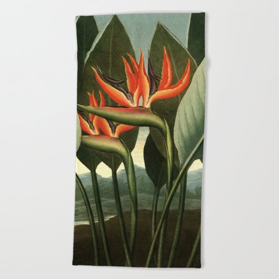 Birds of Paradise : Temple of Flora Beach Towel