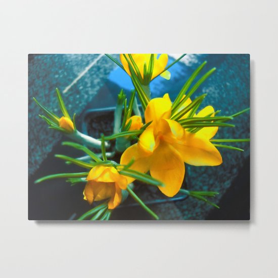 Krocus Metal Print