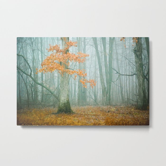 Autumn Woods Metal Print