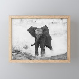 Baby African Elephant in black and white  Framed Mini Art Print