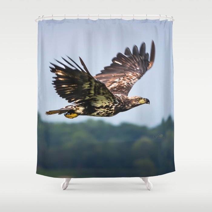 Im Bald Eagle Shower Curtain By, Bald Eagle Shower Curtain