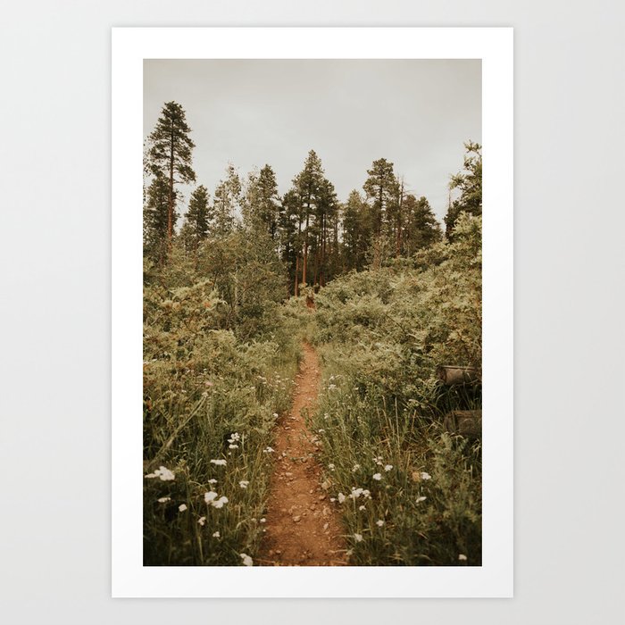 Wildflower Pathway to the Forest Art Print