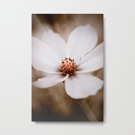 INNOCENCE Metal Print