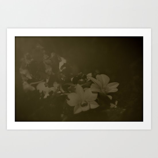hidden faces Art Print