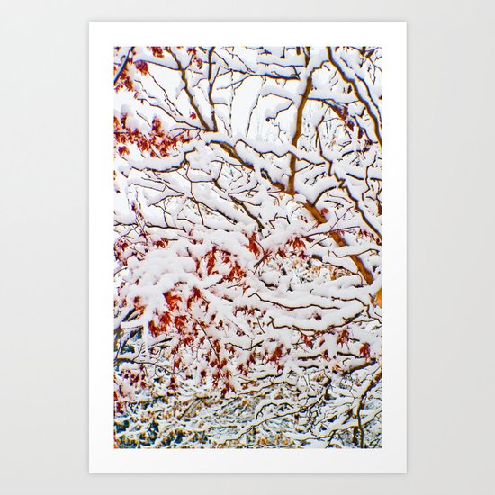January snow Art Print