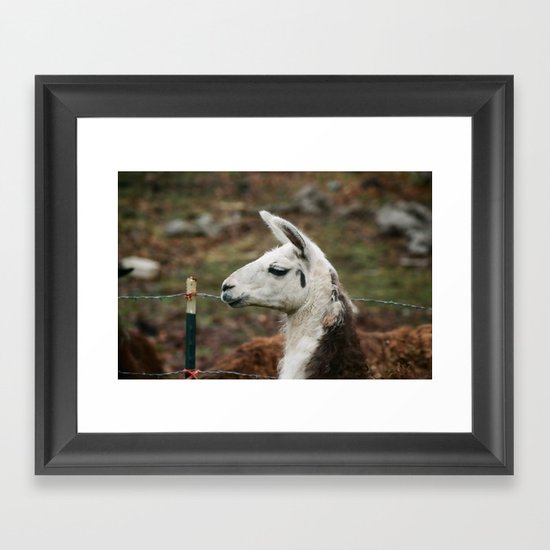 Yarmi Framed Art Print