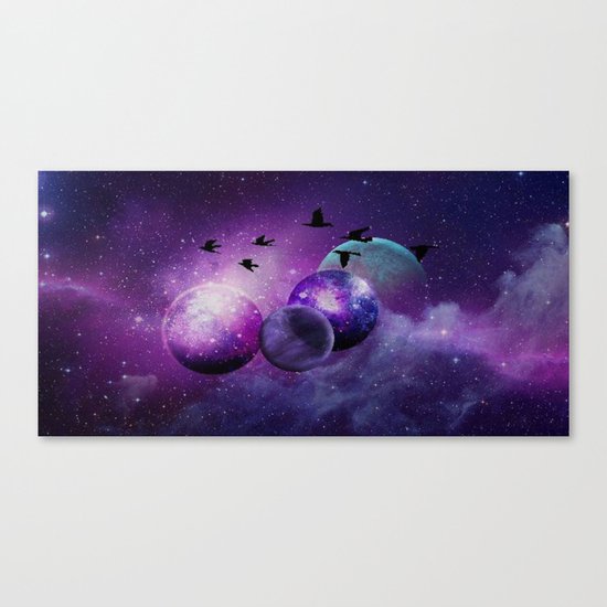 Space birds Canvas Print