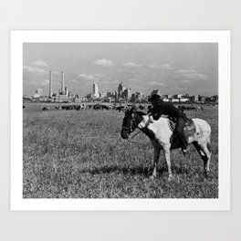 Cowboy Watching Over A Herd Of Cattle - Dallas Texas 1945 Art Print