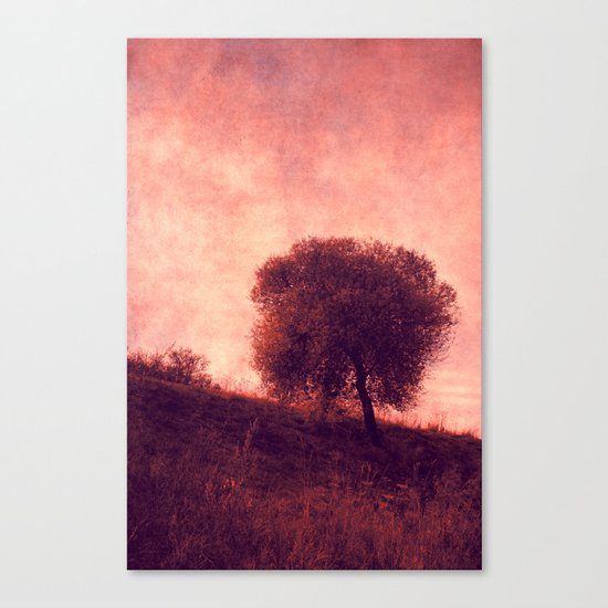 solitary Canvas Print