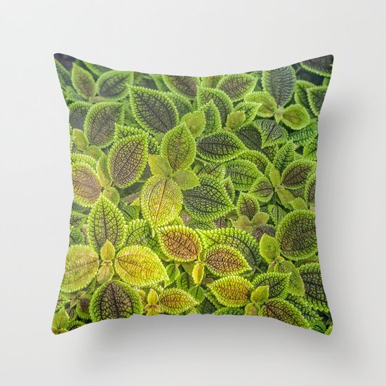 Friendship plant Throw Pillow