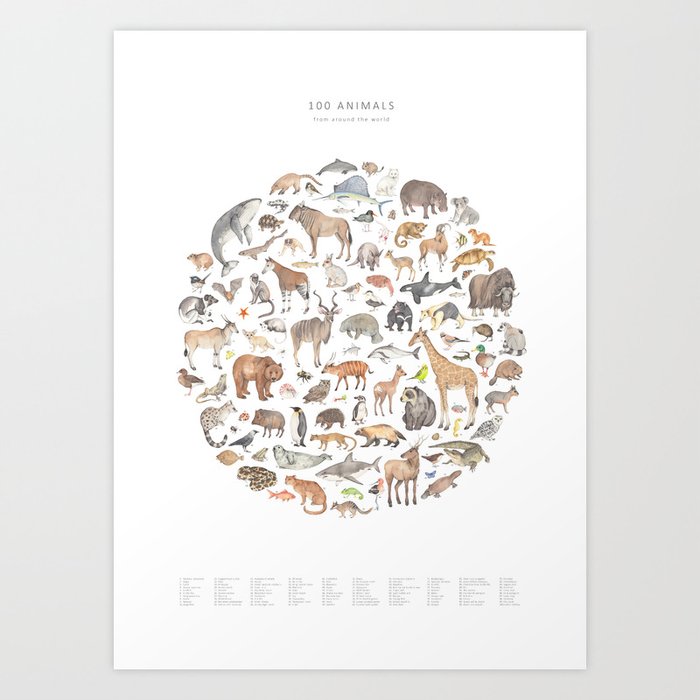 100 animals Kunstdrucke 100 animals Kunstdrucke