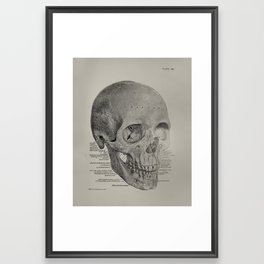 Anatomical Vintage Skull Framed Art Print