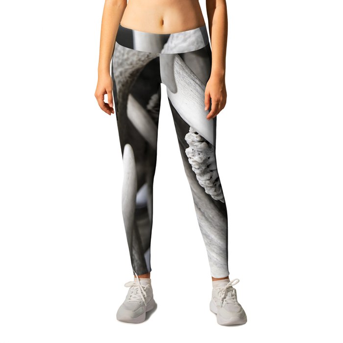 The Antler Arches of Jackson Hole Leggings