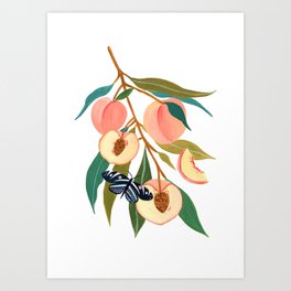 Summer Peach Art Print