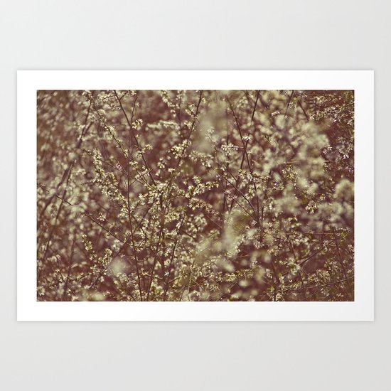 Untitled Art Print