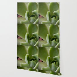 Green Cacti Leaf Wallpaper