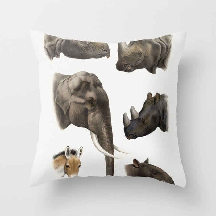 The Great and Small Game of India, Burma, & Tibet Throw Pillow