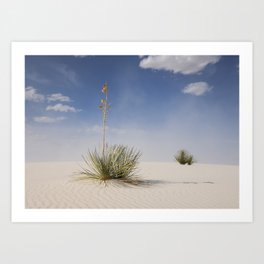 Soaptree Yucca & Desert Grasses at White Sands Art Print
