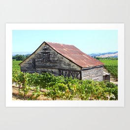 Wine Country Sonoma Art Print
