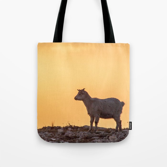 Goat baby sunset E5-5789 Tote Bag