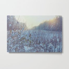 Winter light Metal Print | Snow, Rural, Color, Digital, Winter, Trees, Plants, Forest, Landscape, Electricitypole 
