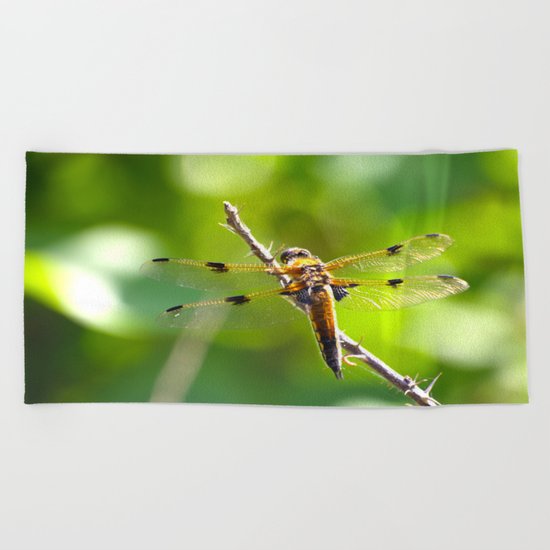 Dragonfly On A Branch Of A Rose Beach Towel