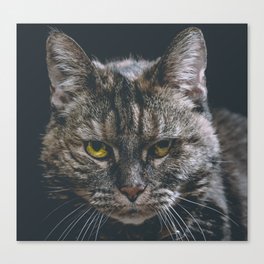 Look into my soul Canvas Print
