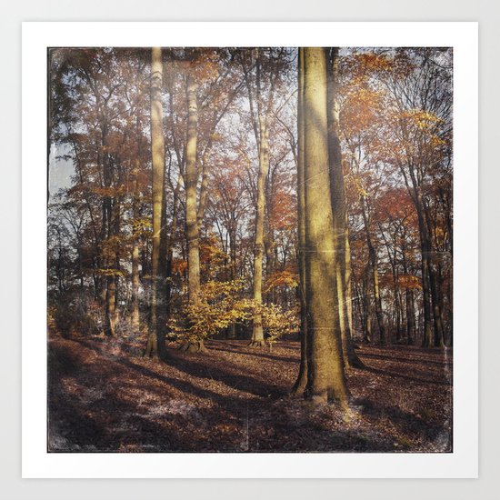 nOvember sUn Art Print