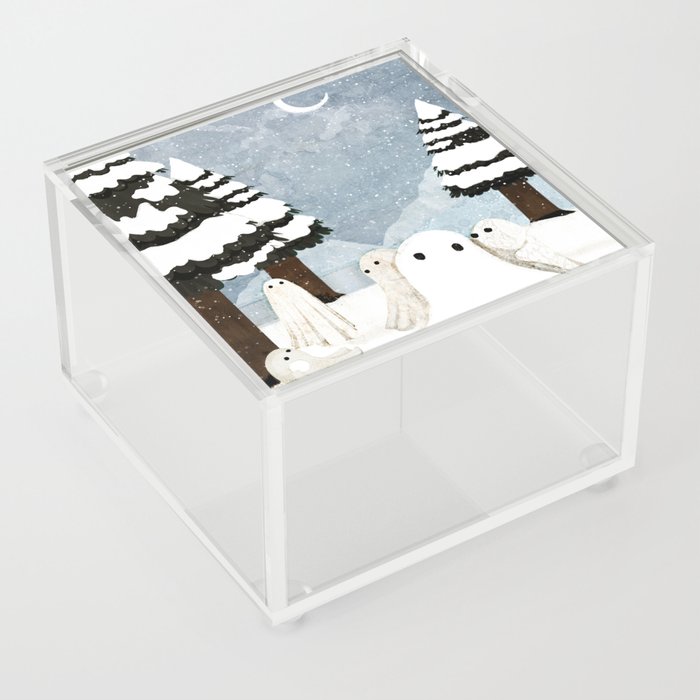 Snow Ghost Acrylic Box