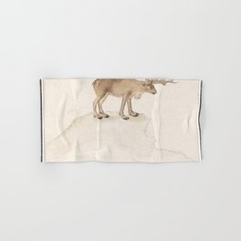 Reindeer, Rangifer tarandus  Hand & Bath Towel