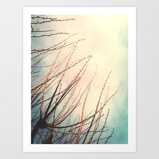 Spring is Near Art Print