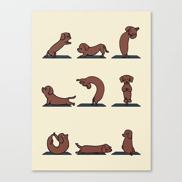 Dachshund yoga Canvas Print