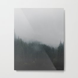 Foggy Forest Metal Print