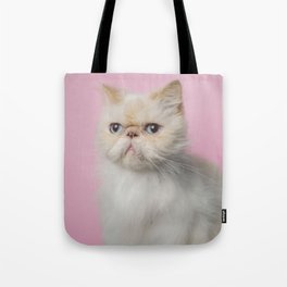 Lord Aries Cat - Photography 008 Tote Bag