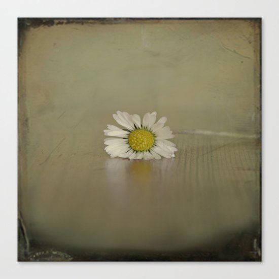 Simplicity Canvas Print
