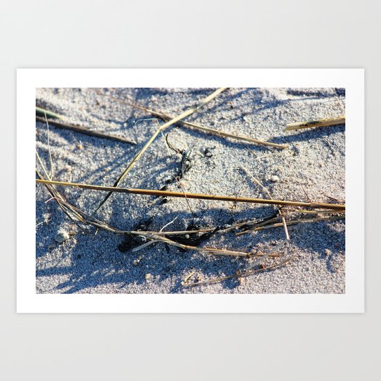 Shadows In The Sand Art Print