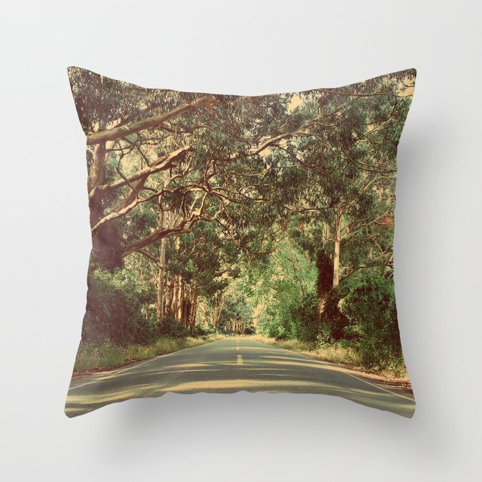 On the road Throw Pillow