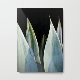 Flowers and Plants Metal Print