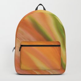 Delicate Peach Backpack
