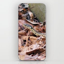 Garter Snake in the Leaves iPhone Skin