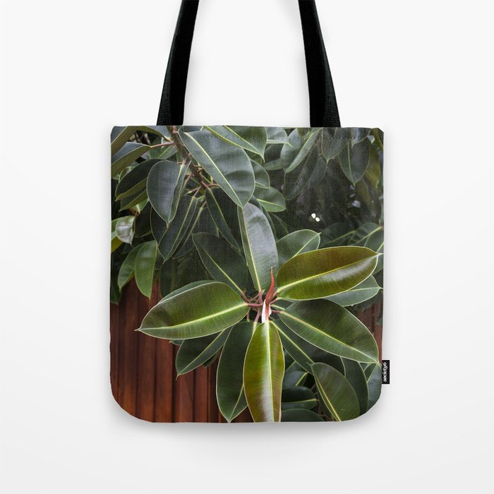 Rubber Tree Tote Bag By Christiois