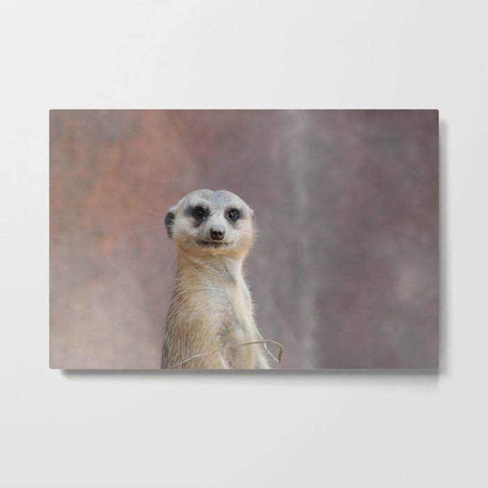 I Call Him Uncle Bob And He Was Ready For His Closeup Metal Print